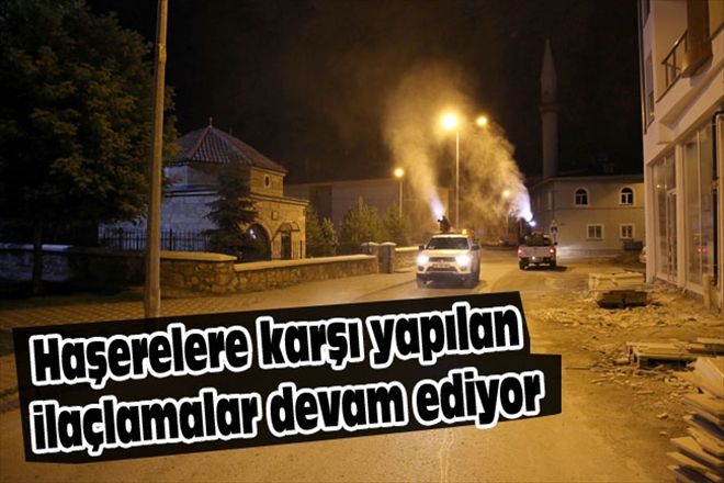Haşerelere karşı yapılan ilaçlamalar devam ediyor