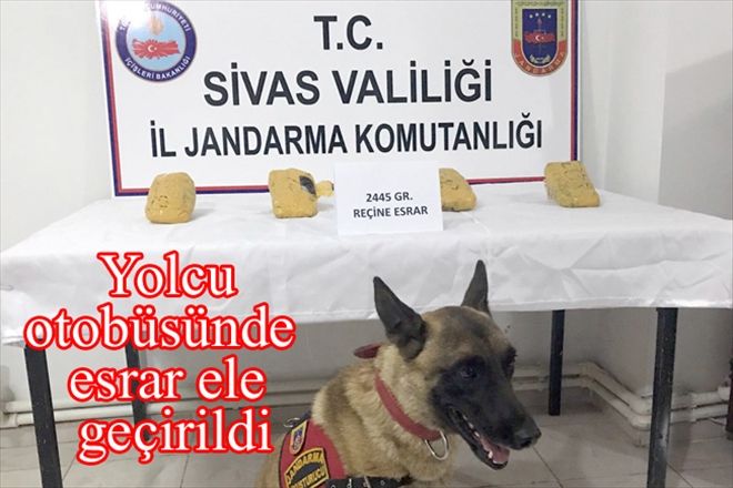 Yolcu otobüsünde  esrar ele geçirildi