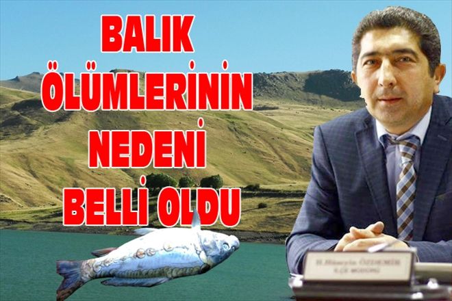 BALIK ÖLÜMLERİNİN NEDENİ BELLİ OLDU