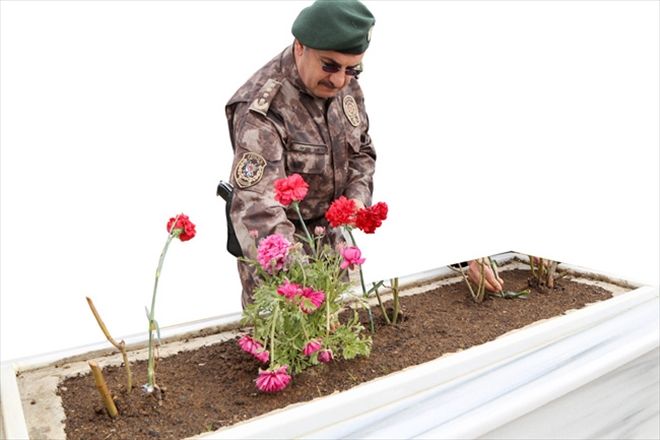 ŞEHiT OLUN  ama teslim olmayın