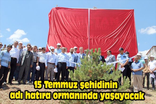 15 Temmuz şehidinin adı hatıra ormanında yaşayacak