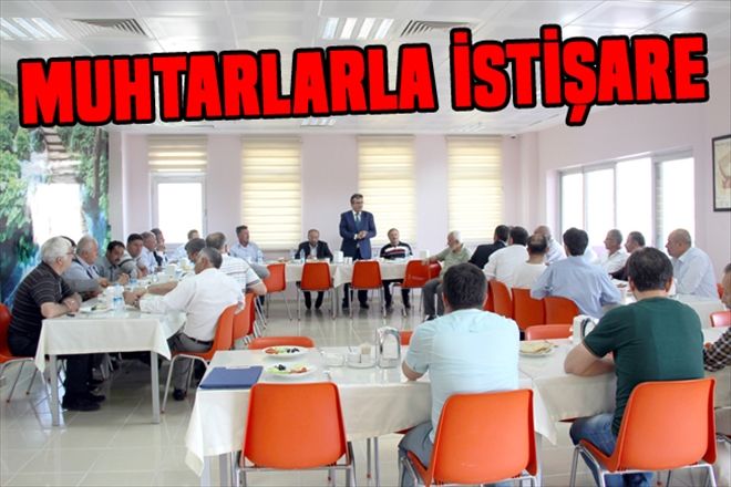 Muhtarlarla istişare 