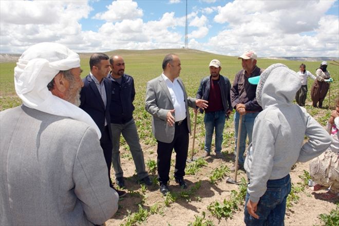 Devletimiz her zaman çiftçimizin yanındadır