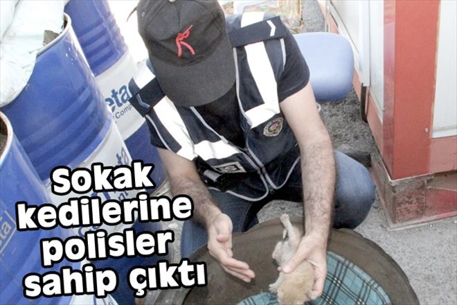 Sokak kedilerine polisler sahip çıktı