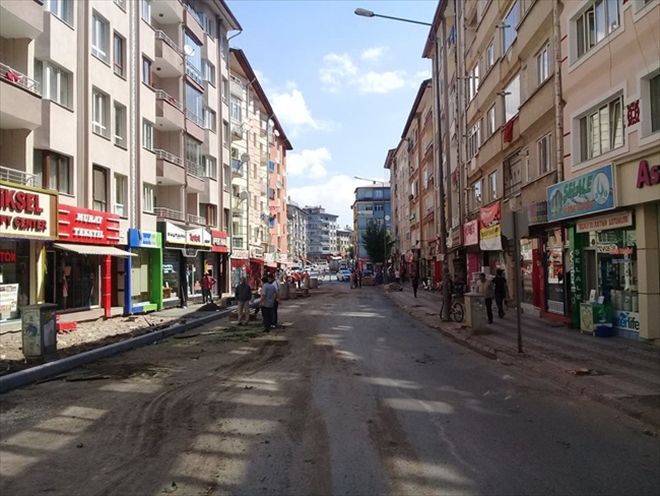 AĞAÇ KIYIMLARI DEVAM EDİYOR