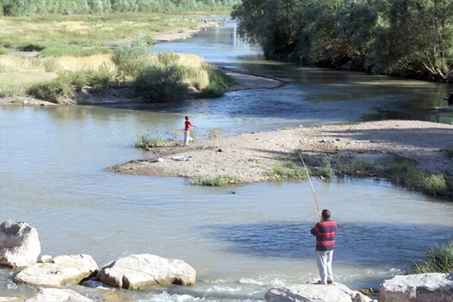 Amatör balıkçıların tehlikeli balık avı