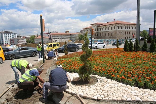 350 bin ağaç ve bitki dikildi