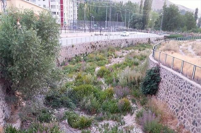 Aşırı sıcaklar Tohma Çayı´nı kuruttu