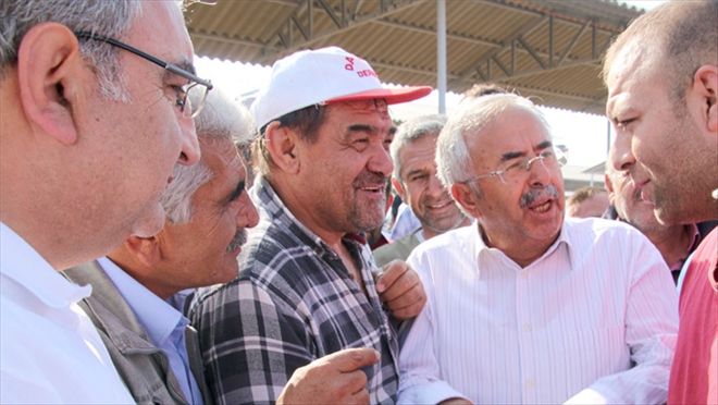 Kısır hayvanın kesilmesinde sıkıntı yok