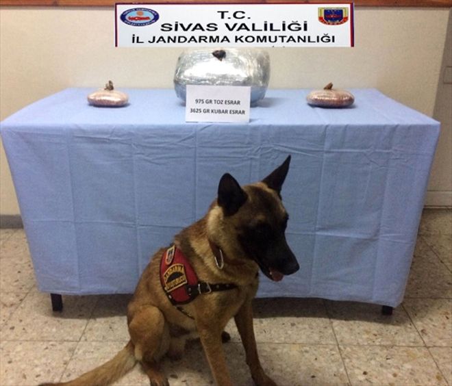 Kaçakçılık operasyonunda 20 kişi gözaltına alındı