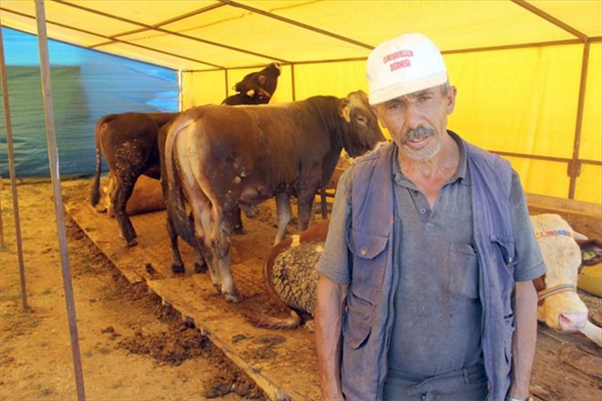 Vergi indirimi fiyatları yükseltti