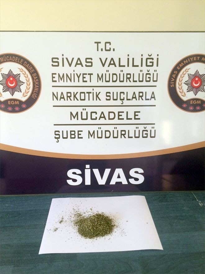 Bonzai satıcısı yakalandı