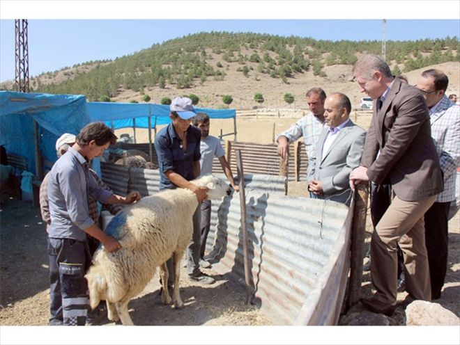 SAHTE PARAYA DİKKAT EDİN
