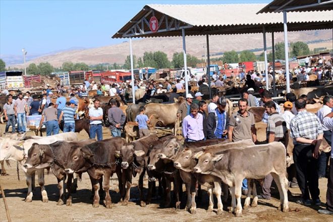  Allah´a yakınlaşmak ve mazlumlarla paylaşmanın vesilesi; KURBAN