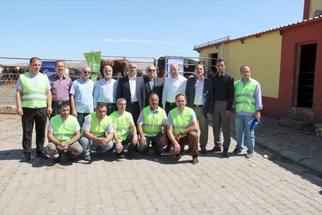 Hayat Ağacı Derneği 120 büyükbaş kurban kesti