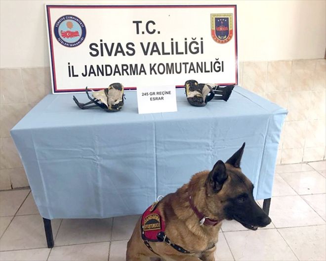 Terlikten esrar çıktı