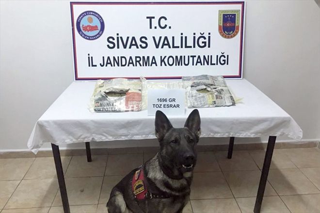 Uyuşturucu taciri 