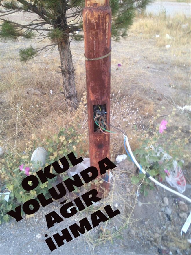 KANGAL´DA 