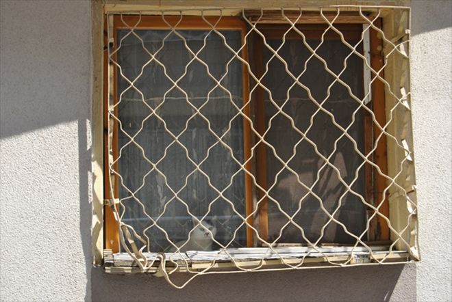 KEDİ EVİ BİZİ CANIMIZDAN BEZDİRDİ