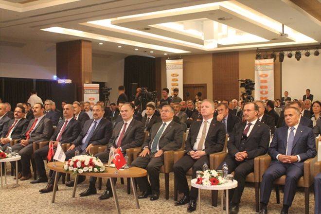ALİ ROBOT YAPSIN AYŞE YAZILIM ÜRETSİN