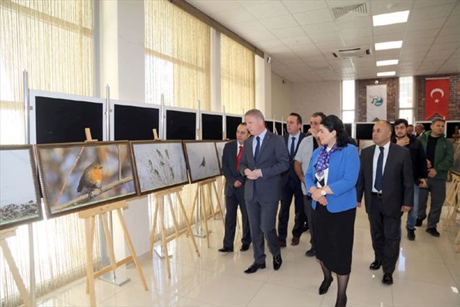 Hayvanlar için rehabilite merkezi yapılacak