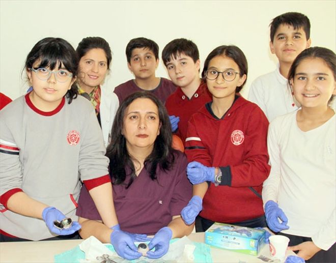 Öğrencilerin ´dana gözü´ şaşkınlığı 
