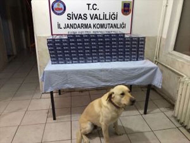 Altı kişi hakkında kaçakçılıktan işlem yapıldı