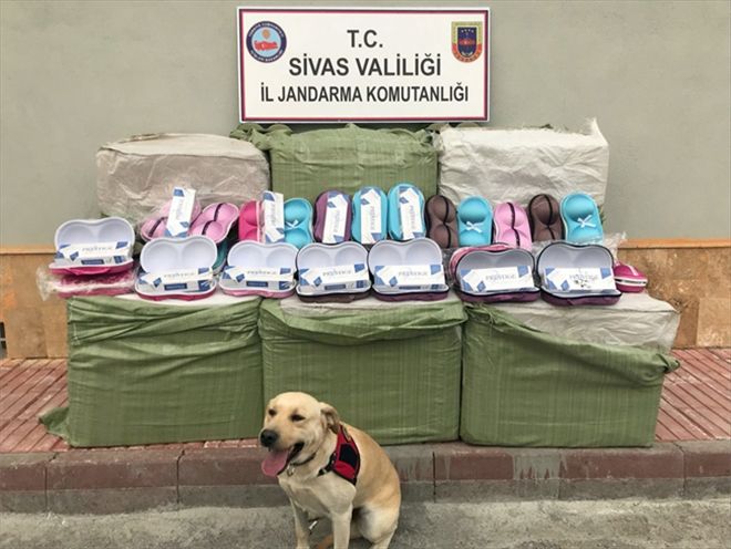 İç çamaşırı kutusunda sigara kaçakçılığı