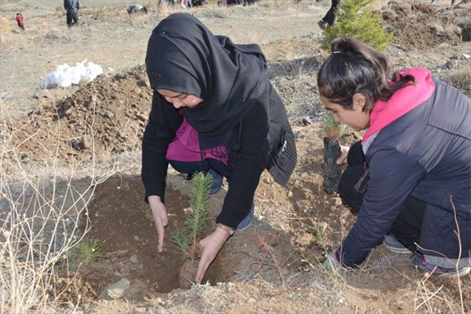 Hatıra ormanına 5 bin fidan dikildi 
