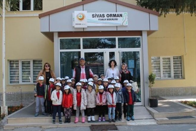 Anasınıfı öğrencilerinden Sivas Orman Fidanlık Müdürlüğü´ne ziyaret 