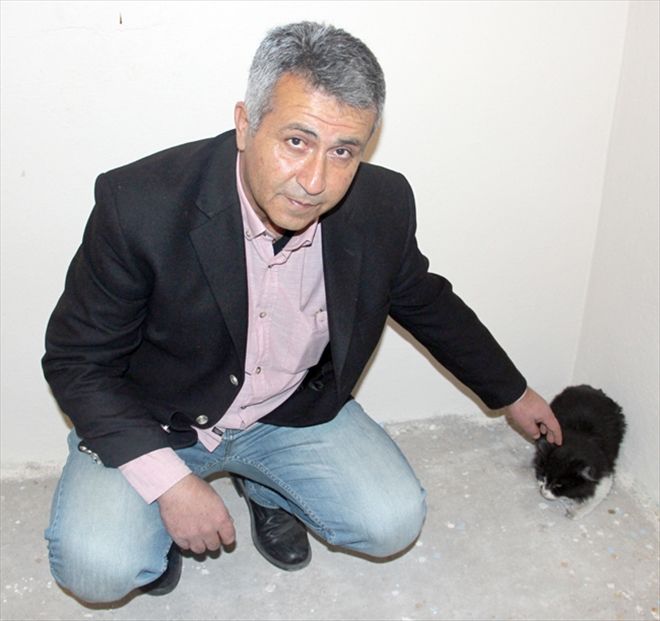 İplik kediyi ayağından etti