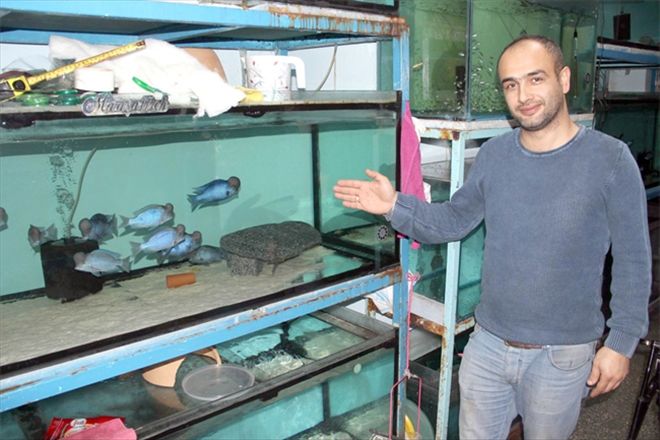 Bu balığı görenler hayrete düşüyor 