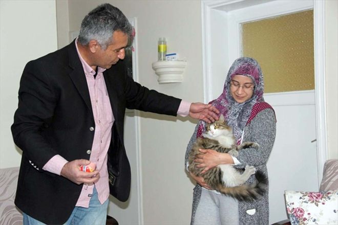 Sokak kedilerine evlerini açtılar 