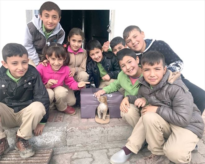 Öğrencilerin fırfır´ seferberliği