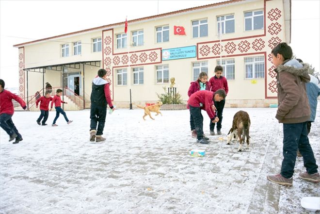 Sokak hayvanlarına öğrenciler sahip çıktı
