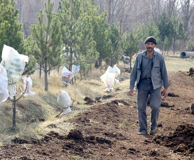 Soğuklara karşı TORBALI ÇÖZÜM