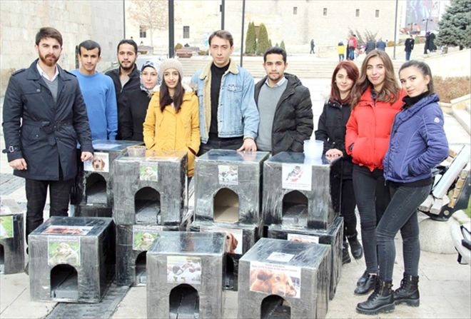 Harçlıklarıyla sokak hayvanlarına sıcak yuva