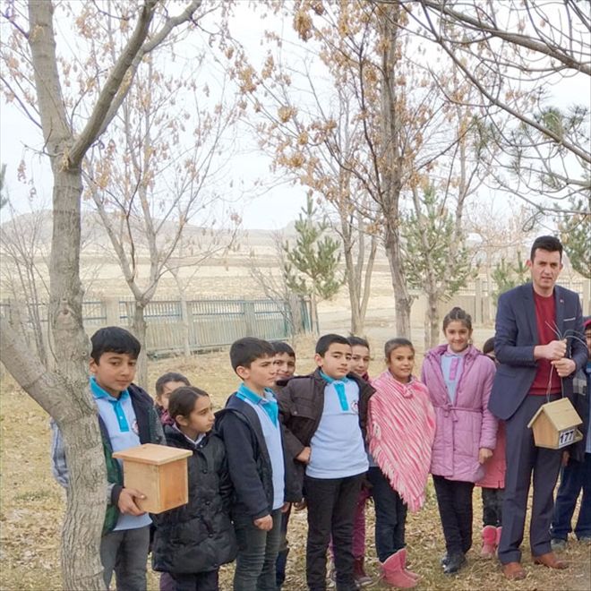 Okul bahçesine kuş yuvaları yerleştirdiler