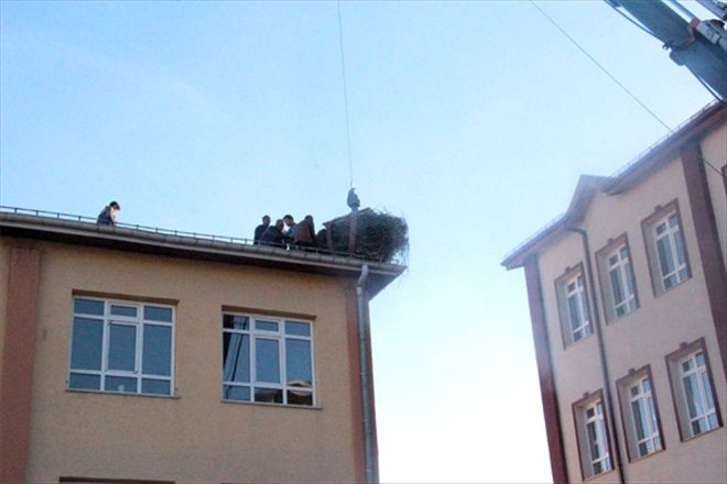 Leylek yuvası artık güvende 