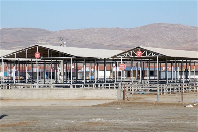 Şarkışla´da şap hastalığı karantinası