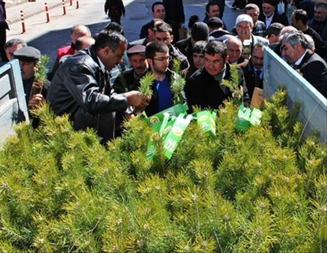 BEDELSİZ FİDAN DAĞITIMI