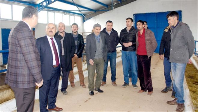 Yıldız, projeleri yerinde inceledi