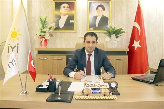 CÜ domuz baskınlarıyla gündeme geliyor