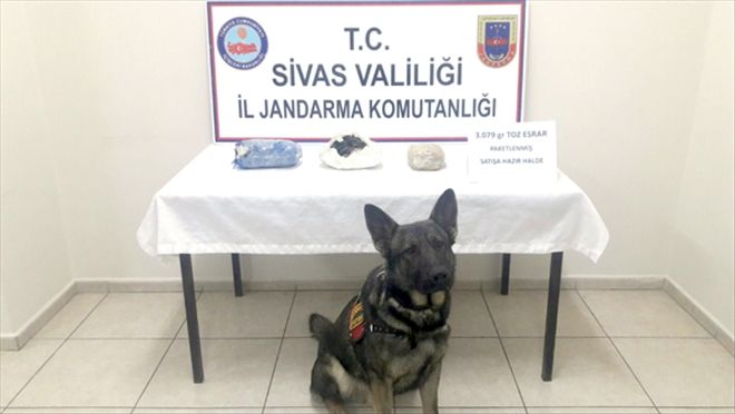 Yolcu otobüsünde 3 kilo 79 gr esrar ele geçirildi