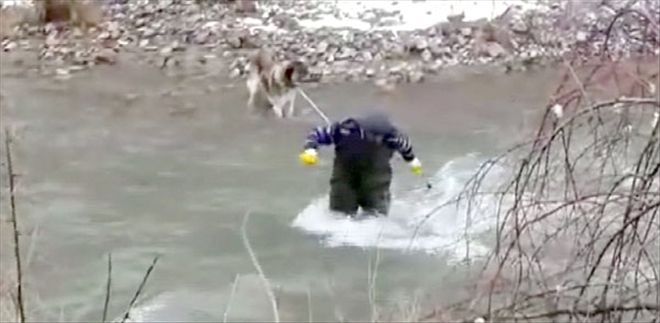 Çayda mahsur kalan köpek kurtarıldı 