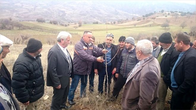 Antep fıstığı yetiştiricilerine eğitim