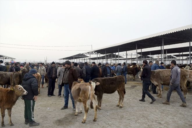 Karantina kalktı pazar yeniden açıldı 