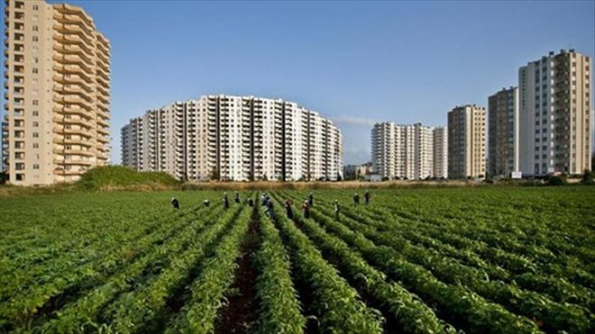 TARIM ARAZİLERİ  SİT ALANI İLAN EDİLSİN