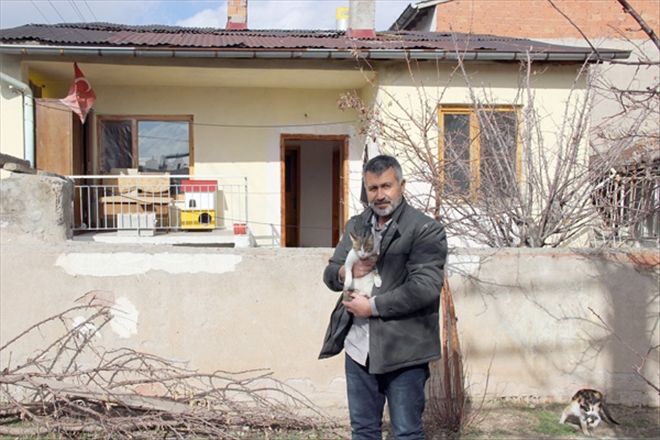 Kiraladığı ev sokak hayvanlarına yuva oldu