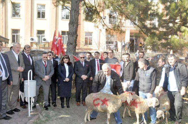 AFRİN´DEKİ YİĞİTLERE 5 KOÇ KESİLDİ